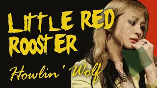 Little Red Rooster - The Lady Shelters (Howlin' Wolf  cover)