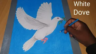 Learn How to Draw a Dove