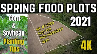 Spring Food Plots 2021 | Corn and Soybean Planting Tips