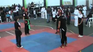 combate kung fu