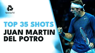 Top 35 Juan Martin Del Potro Electric Shots 😍