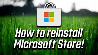 How to Reinstall Microsoft Store in Windows 10 [2024 FIX]