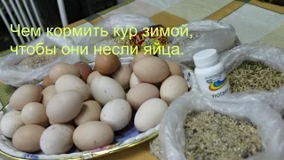 Чем кормить кур зимой,чтобы они несли яйца.