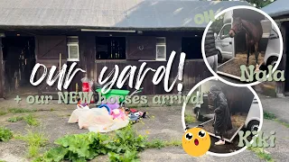 OUR YARD TOUR + OUR NEW HORSES ARRIVAL!