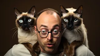 You'll Definitely Want a Siamese Cat After Watching This