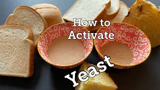 Active dry yeast vs Quick rise yeast | How to activate yeast for beginners