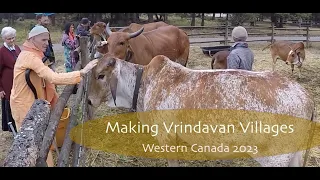 Making Vrindavan Villages in western Canada with Bhakti Raghava swami