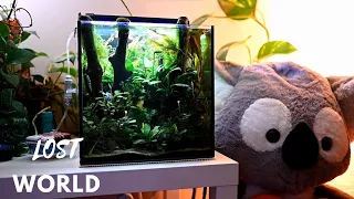 The Art of Aquascaping: A 10-Gallon Planted Tank Masterpiece :  Tips, Tricks, and Aquatic Beauty