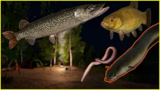 Russian Fishing 4 Old Burg EEL & Tench + Pike ? | rf4 spot #229