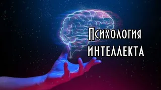 Психология интеллекта. Курс. Часть I