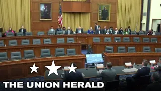 House Judiciary Hearing on the Southern Border, the Constitution and the States