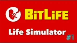 Bitlife - Симулятор Жизни