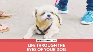 FilterCopy | Life Through The Eyes Of Your Dog | Ft. Rohan Khurana