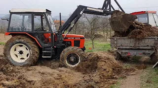 Zetor 6245 & Zetor 5245 - Utovar i vožnja stajnjaka (Traktor zaglavio u blatu)