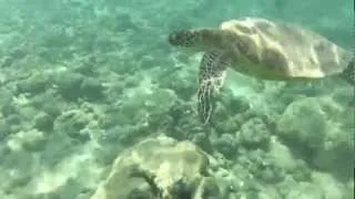 TWO GIRLS UNDERWATER GOPRO HERO2 OAHU SNORKLEING