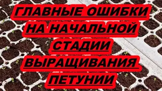 ГЛАВНЫЕ ОШИБКИ НА НАЧАЛЬНОЙ СТАДИИ ВЫРАЩИВАНИЯ ПЕТУНИИ.