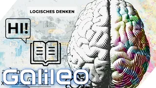 Wie tickt unser Gehirn? Das Experiment! | Galileo | ProSieben