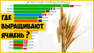 Мировое Производство Ячменя по Странам (1961-2019)