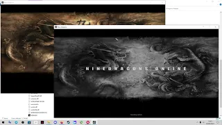 9Dragons Awaken (RedFox) - HOW TO OPEN 2 CLIENTS ON 1 PC