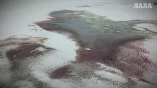 Caspian Sea Waters Turn Blood Red