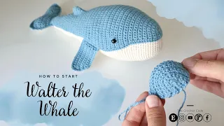 How to Start Walter the Whale - Humpback Whale Crochet Amigurumi Pattern by The Crochet Code