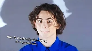 timothée chalamet in a nutshell