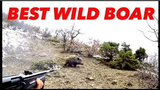 BEST WILD BOAR HUNT (Domuz avi) Gjuetia e Derit