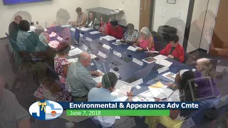 Environmental Appearance & Advisory Committee - June 7, 2018