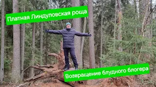 Линдуловская роща будет платной?! Куда я п(р)опал? Где новые видео?