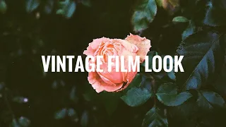 The Best 35mm Films for the “Vintage” look