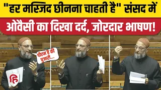 Asaduddin Owaisi Speech: Loksabha में जोरदार बोले ओवैसी, कहा-  सरकार हर मस्जिद छीनना चाहती