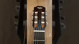 Taylor 214ce-N