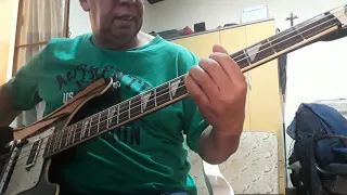 Gimme gimme good lovin' - Bass Cover