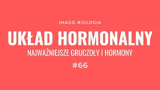 Układ hormonalny. Najważniejsze gruczoły i hormony
