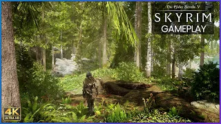 [4K] Dense Forest I SKYRIM ULTRA MODDED Gameplay