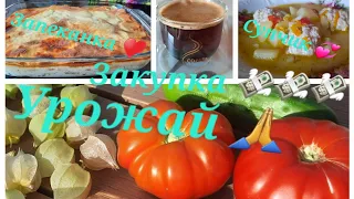 Запеканка из картошки 👍Новые кружки 💞Закупка.#рецепты #еда #вкусно #жизньсовкусомсчастья