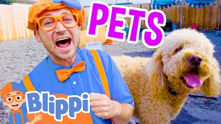 Blippi Makes Friends at the Animal Shelter! | Playing with Cute Pets | Educational Videos For Kids