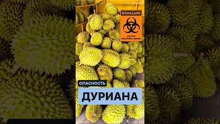 Чем опасен дуриан | Дуриан | Все о дуриане | Durian | Затерянные в путешествии