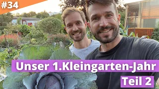 Wie lief es mit Blumenkohl, Melonen und Co in unserem Kleingarten? Erntezeit Teil 2