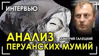 Дмитрий Галецкий / Анализ перуанских мумий