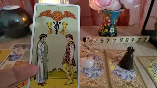 Au înnebunit salcâmii - Tarot interactiv - toate zodiile - Azua Tarot✨