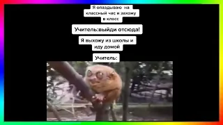 тик ток опоздал на классный час