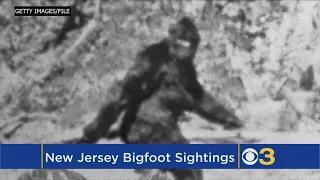 Bigfoot In New Jersey? Couple Joins Dozens To Report Seeing Creature