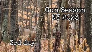 deer hunting in new york | third hunt 2023