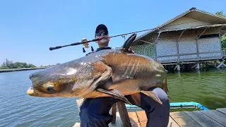 Mekong Catfish Fishing Thailand Malaysia anglers 2024- BKKGUY