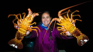 CALIFORNIA SPINY LOBSTER CATCH and COOK! Hoop Netting Catalina Island