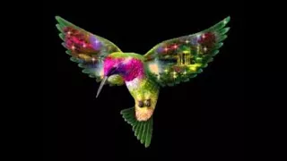 Symbolic and Spiritual Meaning of Hummingbirds