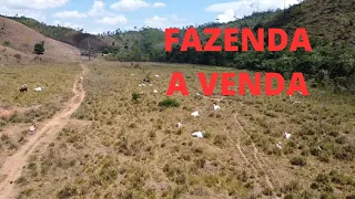 Terra pra vender (fazenda) 110 alqueires, a 58 km de São Félix do Xingu. 45 mil por alqueires