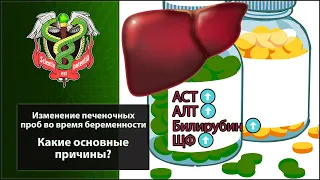 Изменение печеночных проб во время беременности. Какие основные причины? Диагностический поиск.