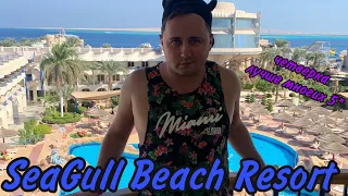 ДОСТОЙНАЯ ЧЕТВЕРКА - SeaGull Beach Resort Hurghada 4* | Сигал Хургада Египет 2021